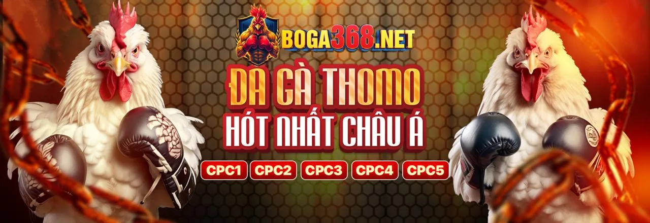 Đá gà trực tuyến MCW87 link mới
